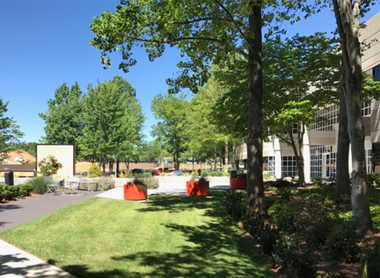 CBRE Peachtree Wifi